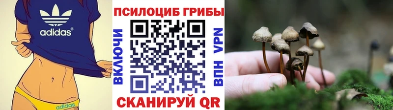 Купить где  Чапаевск  Псилоцибиновые грибы Cubensis 
